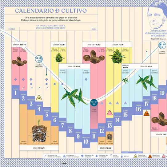 Calendario biodinámico y lunario de enero 2024. Cáñamo 313