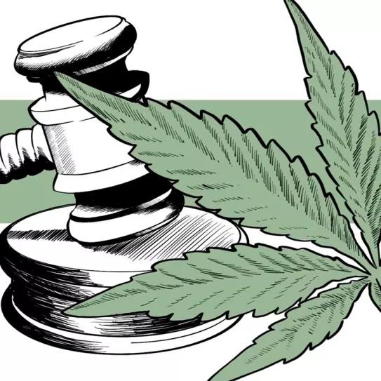 La Justicia de Bilbao declara inocente a una persona que fue detenida con 61 kilos de cannabis