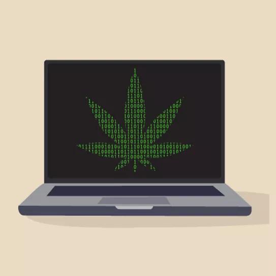 EEUU usará fondos federales para una investigación sobre cannabis medicinal