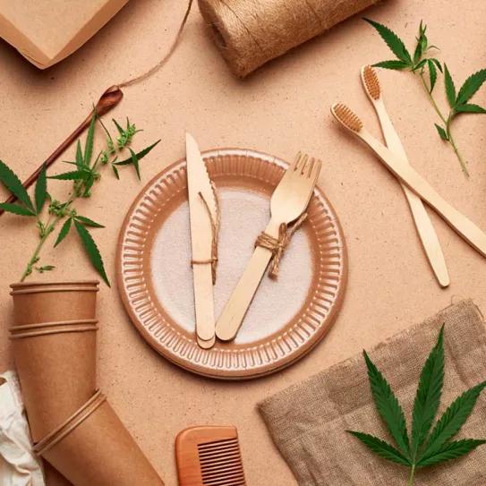 México: producirán bioplásticos de cáñamo cultivado en el país