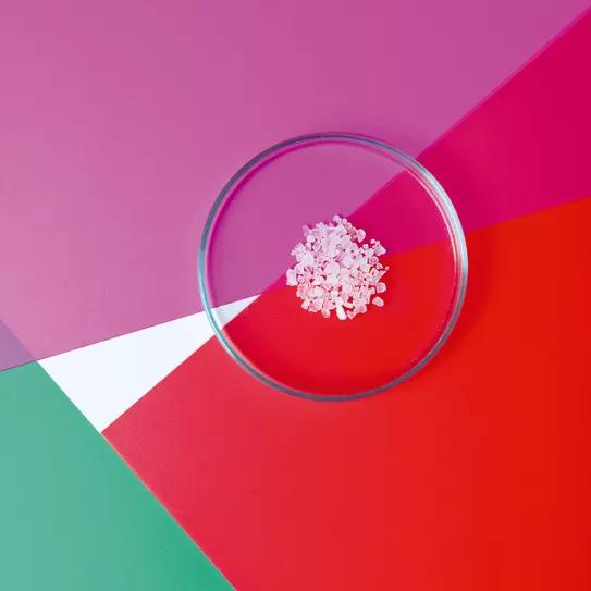 Empatógenos-entactógenos: la familia psicoactiva más cariñosa