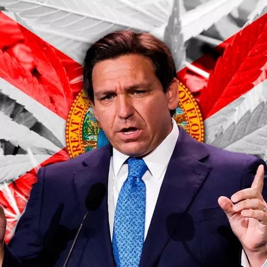 DeSantis se baja de las elecciones presidenciales, pero habilita que Florida vote por legalizar el cannabis