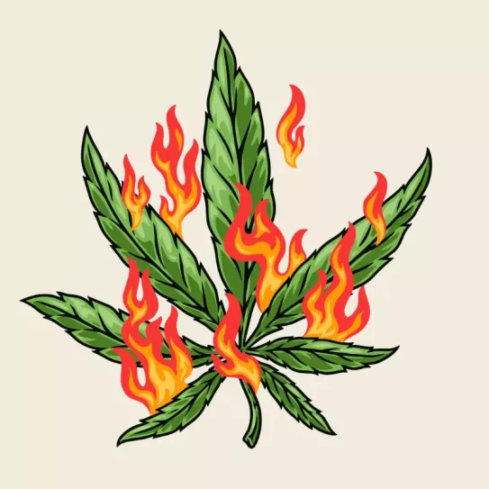 Destrucción de la sustancia