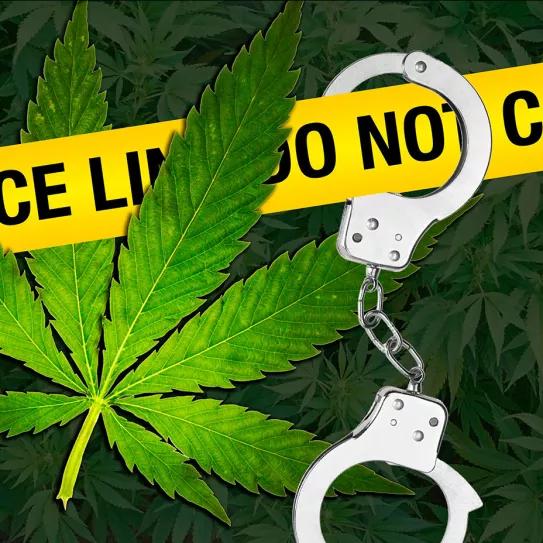 El Parlamento de Irlanda votaría esta semana la despenalización del cannabis