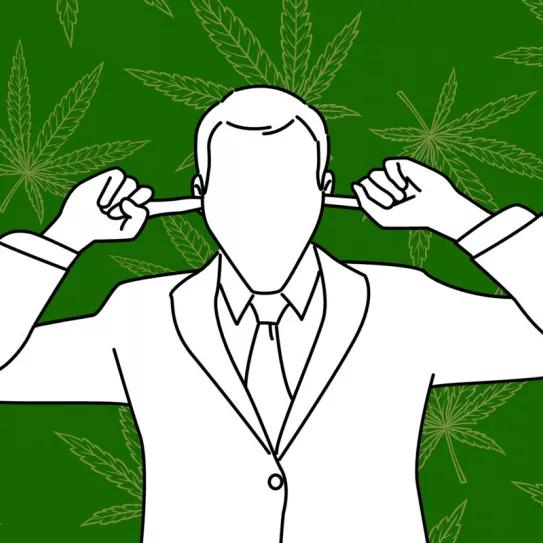 No se enteran Editorial Cañamo 314