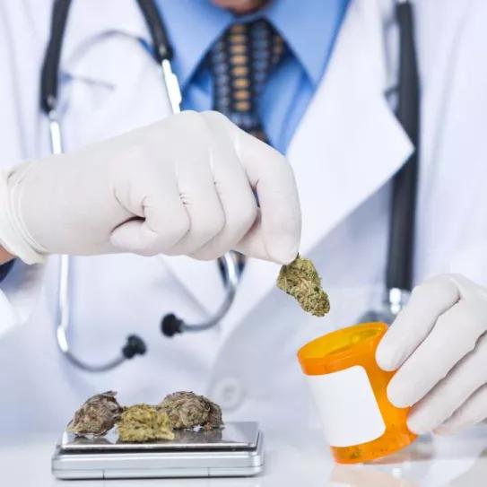 Puerto Rico: baja la cantidad de médicos que acompañan tratamientos con cannabis