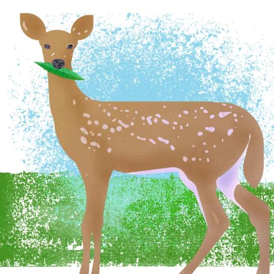 Observatorio Norteamericano Minesota