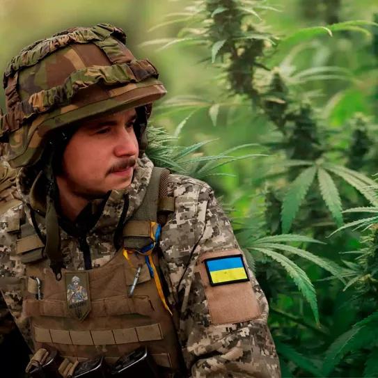 Zelensky promulgó la ley de cannabis medicinal para tratar a los heridos de la guerra