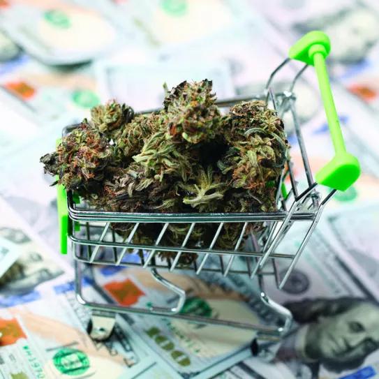 Missouri vendió cannabis por 1.400 millones de dólares en su primer año de regulación integral
