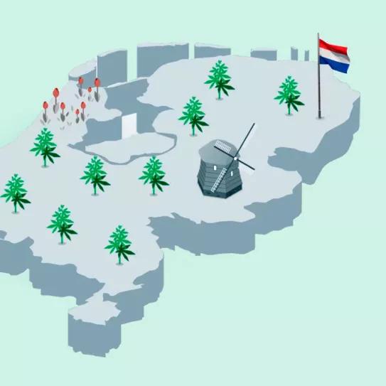 Países Bajos: el ensayo de cultivo de cannabis para venta en coffee shops se amplía a nuevas ciudades