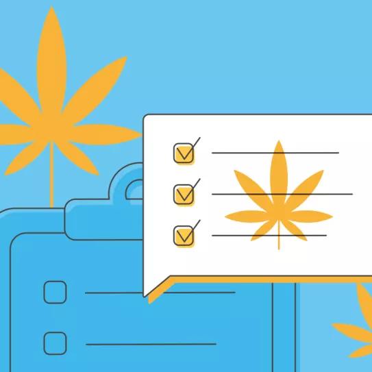 Argentina se suma a la encuesta mundial sobre el autocultivo de cannabis