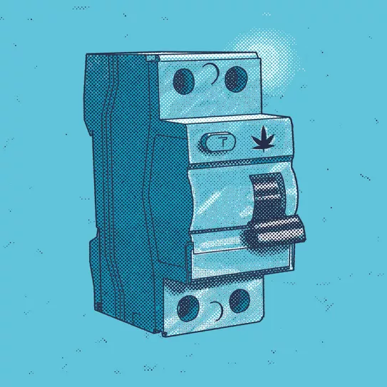 Consumo eléctrico de un cultivo de interior