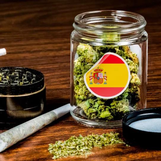 España es el país de la Unión Europea donde más cannabis ilegal se vende