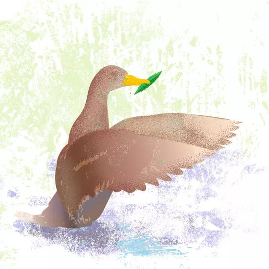 Observatorio Norteamericano - Idaho se jodió Por Oswaldo Pérez Cabrera 