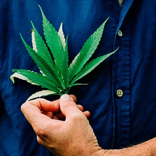 La cooperativa Virgocoop quiere combatir la “moda rápida” con prendas de cáñamo