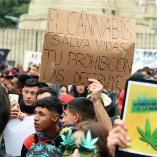 Varios países de Latinoamérica se movilizaron por la Marcha Mundial de la Marihuana
