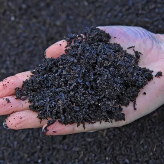 Una cooperativa de Ecuador y una empresa alemana producirán biocarbón de cannabis en el Amazonas