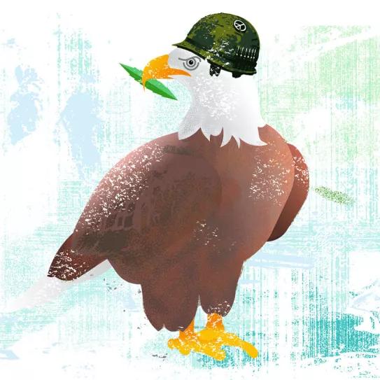 Observatorio - Veteranos de guerra