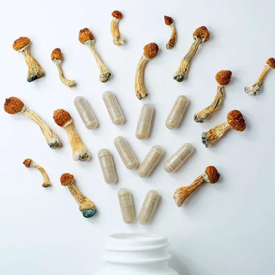 Tailandia incorpora al opio y los hongos psilocibes para los tratamientos médicos