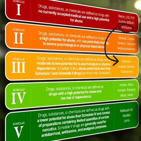 EEUU reclasificó al cannabis en la Lista III de estupefacientes prohibidos