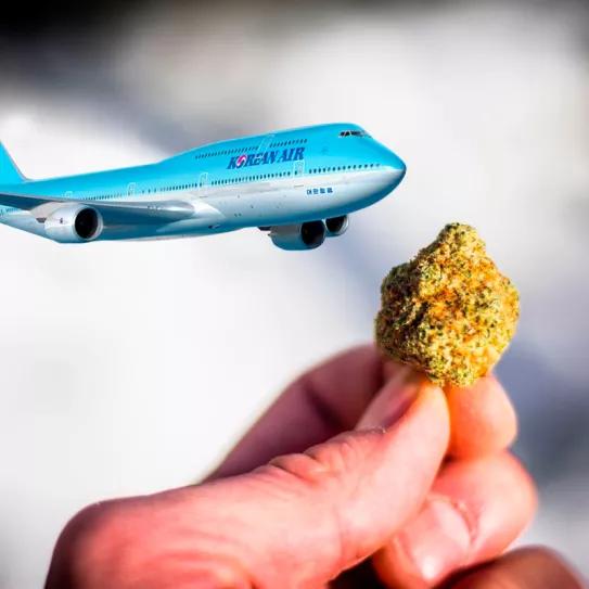 Corea del Sur amenaza a sus ciudadanos que usen cannabis en el extranjero