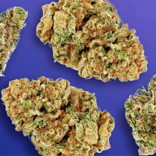 Minnesota destruye 275 mil euros en productos de cannabis irregulares