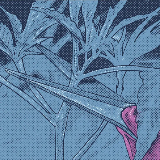 Sacar esquejes para tener más plantas 