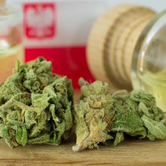La demanda de cannabis medicinal en Polonia ha crecido un 9.420%