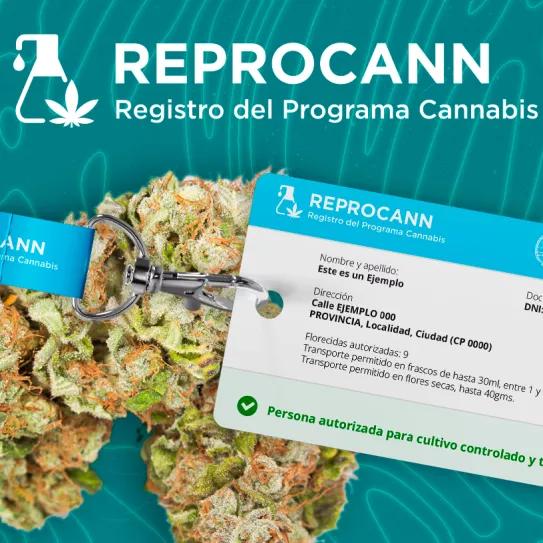 Diputados argentinos le piden al gobierno de Milei que reactive el Registro del Programa de Cannabis