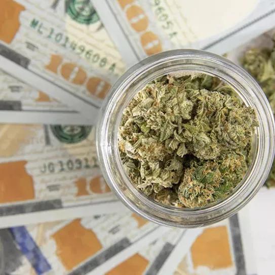 Minnesota recaudó más de 9 millones de euros por la venta de productos derivados del cáñamo