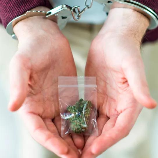 Una encuesta mostró un fuerte rechazo a la despenalización del cannabis en Brasil