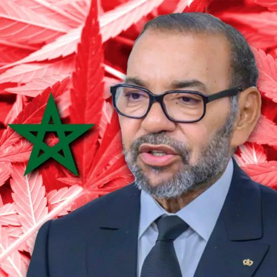 El rey de Marruecos indultó a casi cinco mil productores de cannabis