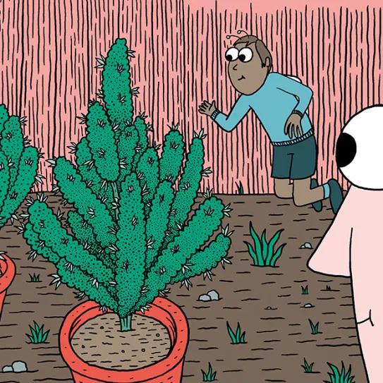 Variedades autoflorecientes: secretos de los cogollos automáticos 