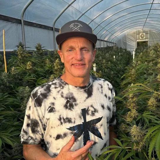 Woody Harrelson presiona al gobernador de California para abrir la industria del cannabis