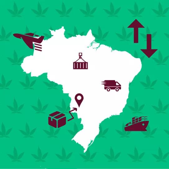 Brasil agiliza el trámite para importar productos de cannabis