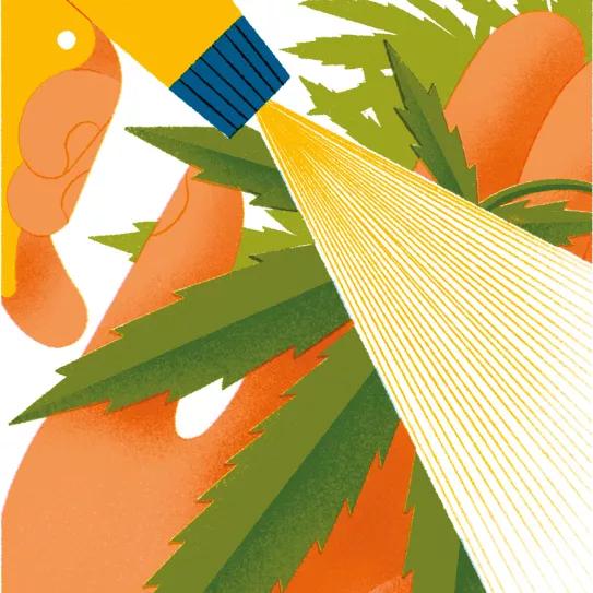 Verlas crecer -Consultorio jurídico