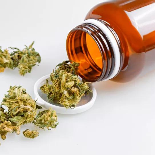 Sin una regulación, la industria del cannabis medicinal en Reino Unido crece un 84% por año