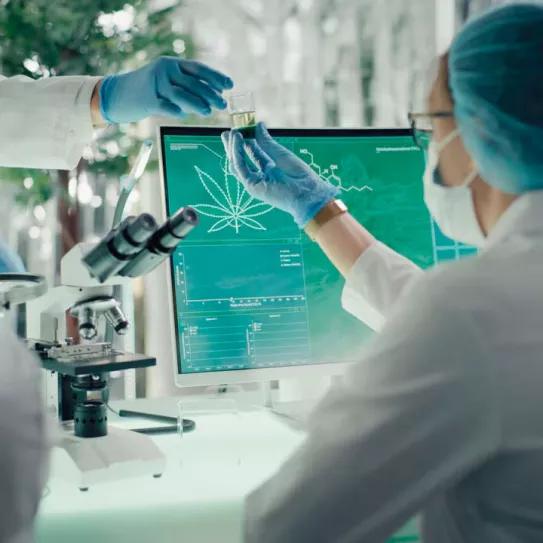 ExpoCannabis Brasil convoca a científicos para que publiquen sus estudios relacionados a la planta