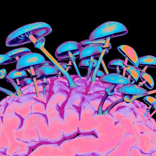 La psilocibina es más efectiva para tratar la depresión que los fármacos tradicionales