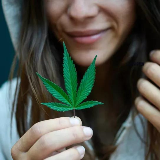 El consumo juvenil de cannabis disminuyó en la última década en EEUU