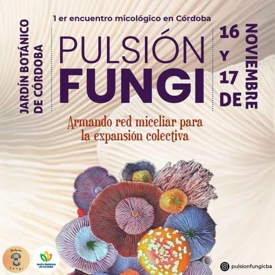 Realizarán la primera feria de hongos en Argentina