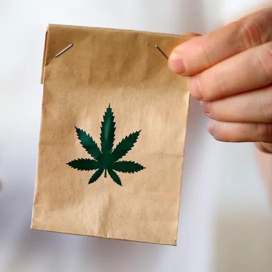 Frankfurt presentó un proyecto para vender cannabis para uso adulto en Alemania