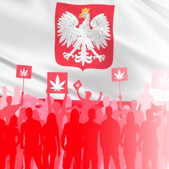 Diputados polacos le piden al gobierno la despenalización del cannabis
