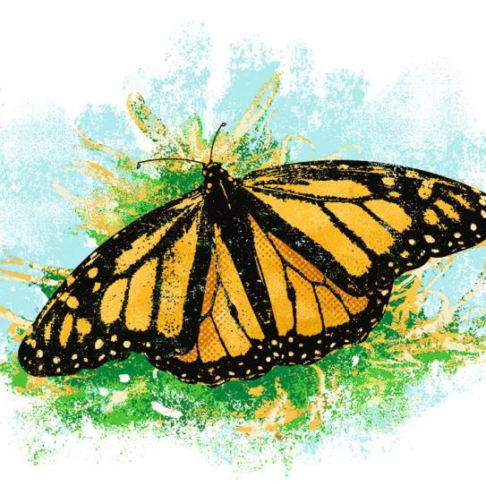 Observatorio Norteamericano - Ontario: entre el Parlamento y las cataratas 