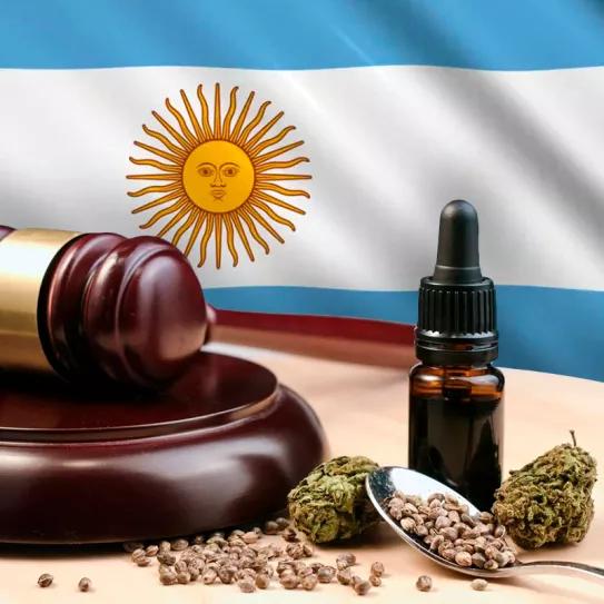 El gobierno de Javier Milei podría apelar los fallos judiciales que le exigen aprobar los registros pendientes de usuarios medicinales