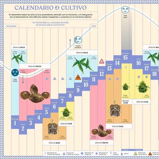 Lunario de diciembre 2024 
