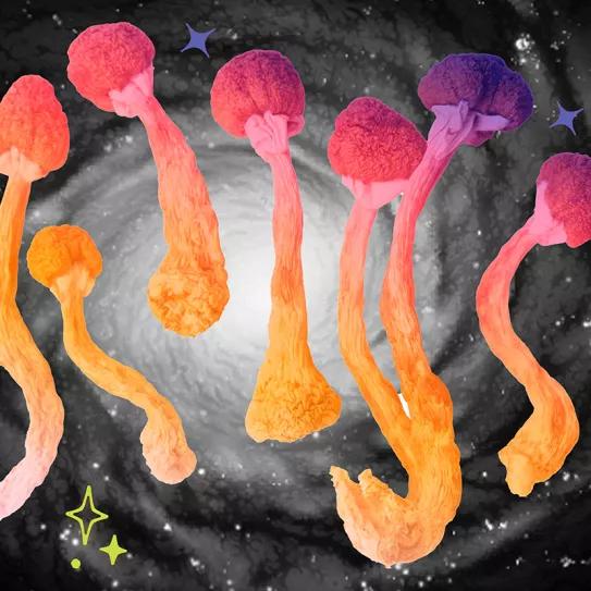 ¿Cómo afrontar un mal viaje de psilocibina?