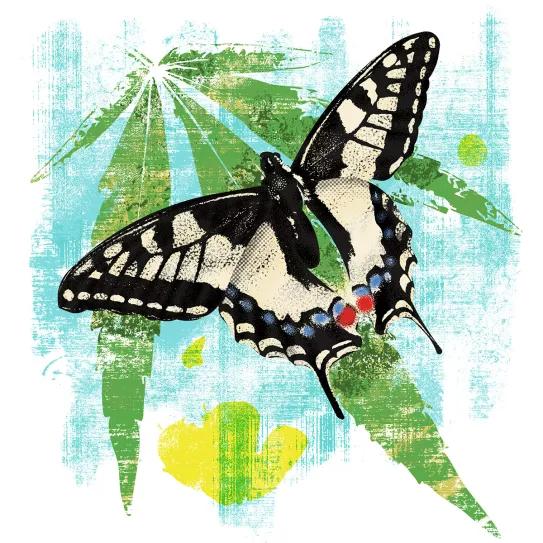 Cannabis Puebla - Observatorio