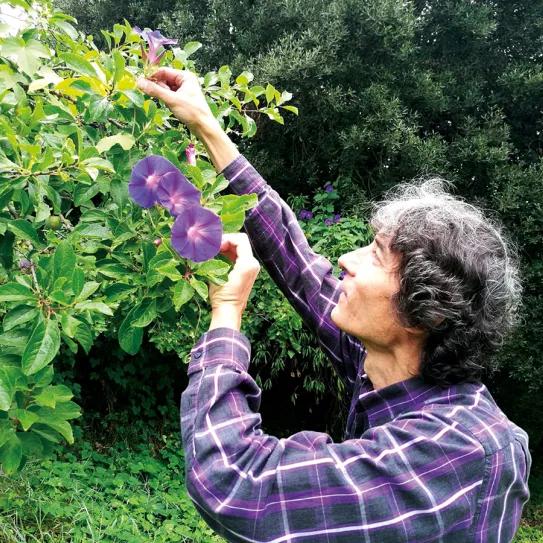 La alternativa vegetal de Luis Otero