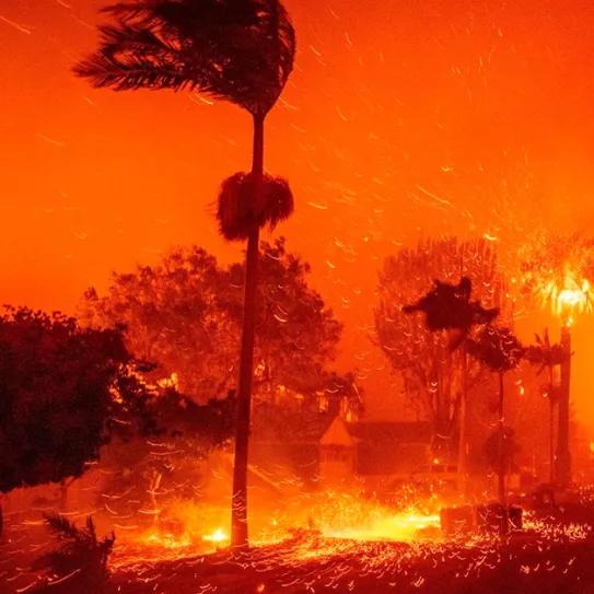Los incendios forestales de California amenazan a la industria del cannabis